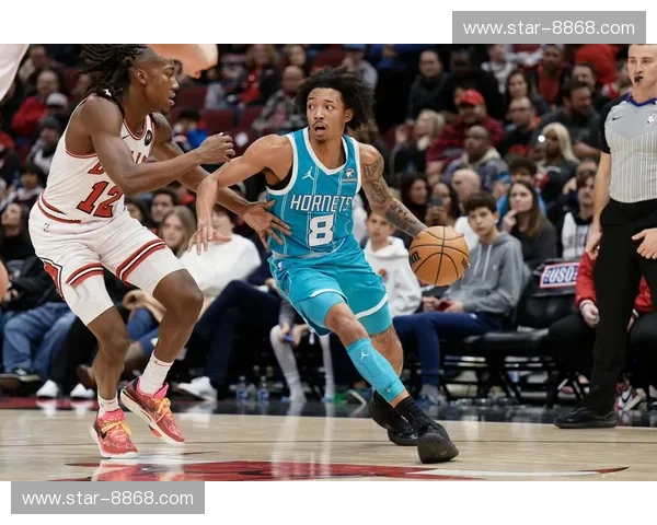 黄蜂vs灰熊：当飞沙走石遇上暗夜咆哮——一场关于速度、力量与智慧的终极较量